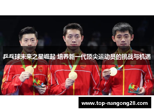 乒乓球未来之星崛起 培养新一代顶尖运动员的挑战与机遇