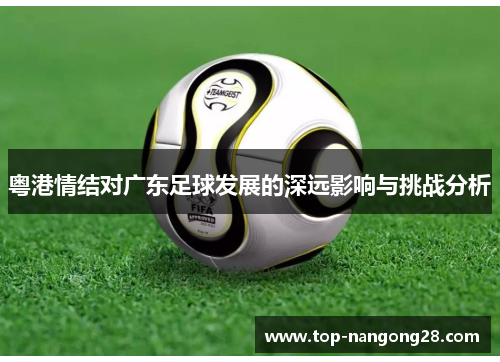 粤港情结对广东足球发展的深远影响与挑战分析