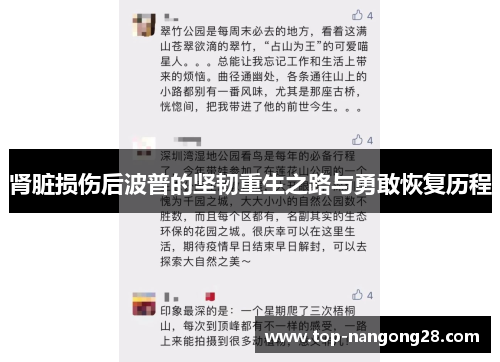 肾脏损伤后波普的坚韧重生之路与勇敢恢复历程
