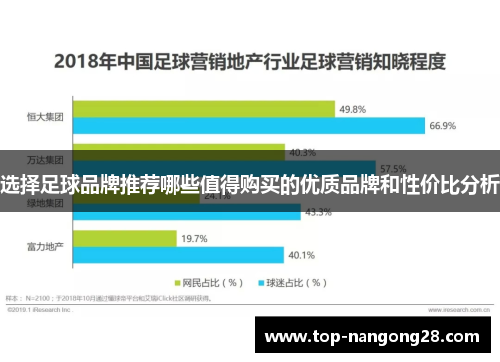 选择足球品牌推荐哪些值得购买的优质品牌和性价比分析