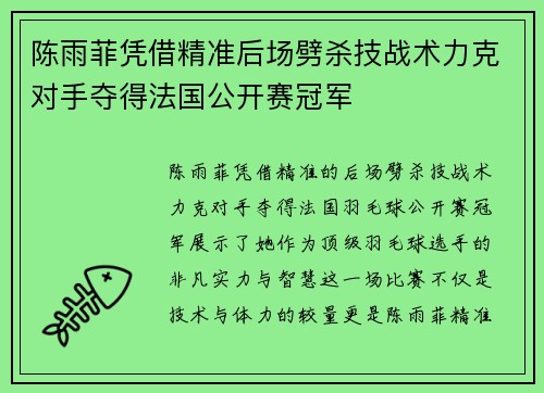 陈雨菲凭借精准后场劈杀技战术力克对手夺得法国公开赛冠军